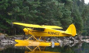 Top Cub 頂級型小熊飛機(jī)